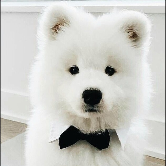 ๐I Wish You Happiness & Prosperity For 2020 ๐๐ - Picture 2 of 6